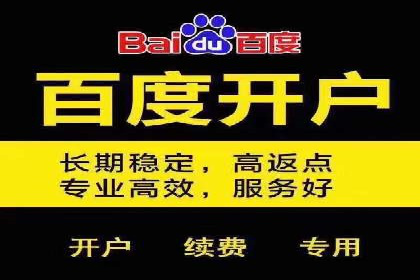 百度搜索推广实战案例：揭秘高效推广策略